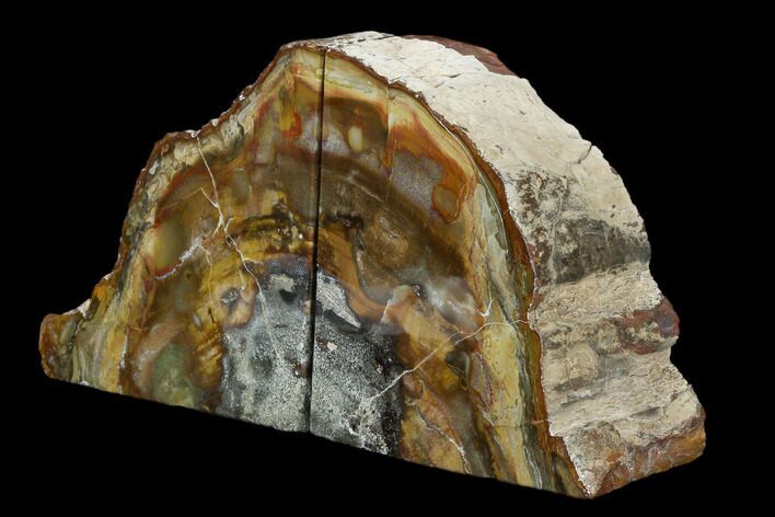 Tall, Colorful Petrified Wood Bookends - Madagascar #129934